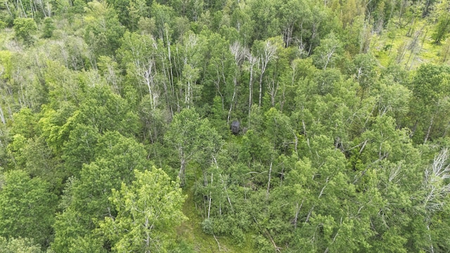 1214 N Black Rd, Twining, MI 48766 - photo 11