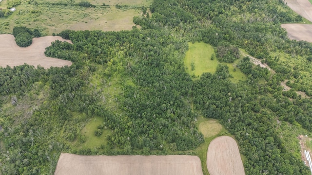 1214 N Black Rd, Twining, MI 48766 - photo 6