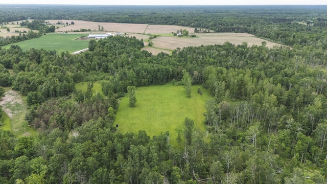 1214 N Black Rd, Twining, MI 48766 - photo 8