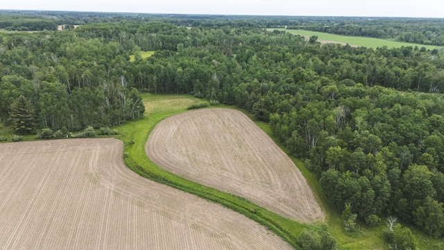 1214 N Black Rd, Twining, MI 48766 - photo 3