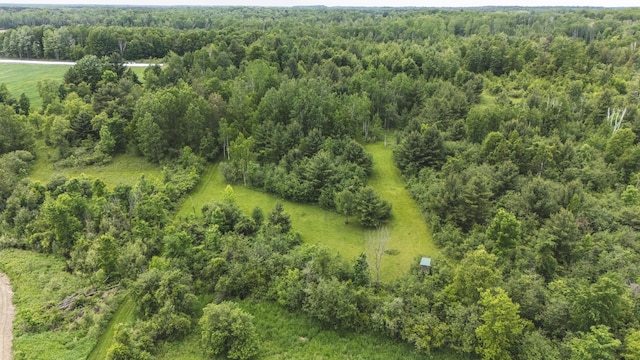 1214 N Black Rd, Twining, MI 48766 - photo 9