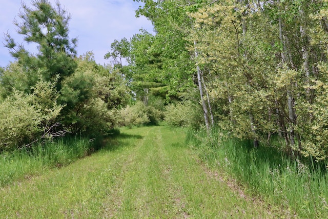 1214 N Black Rd, Twining, MI 48766 - photo 15