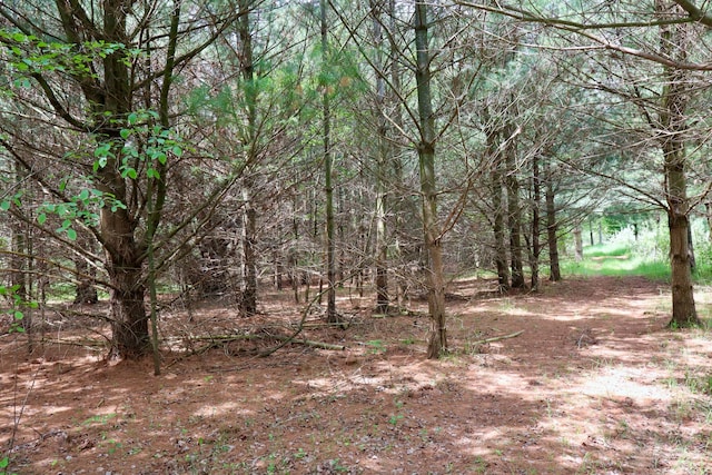 1214 N Black Rd, Twining, MI 48766 - photo 20