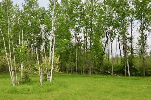 1214 N Black Rd, Twining, MI 48766 - photo 21