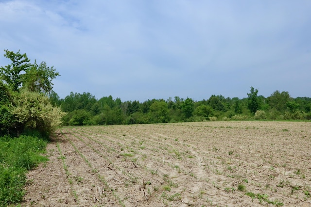 1214 N Black Rd, Twining, MI 48766 - photo 24