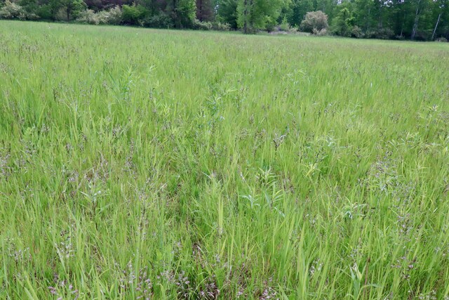 1214 N Black Rd, Twining, MI 48766 - photo 25