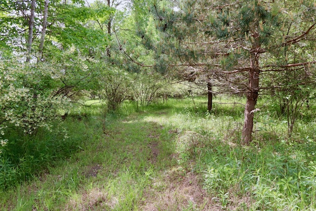 1214 N Black Rd, Twining, MI 48766 - photo 27