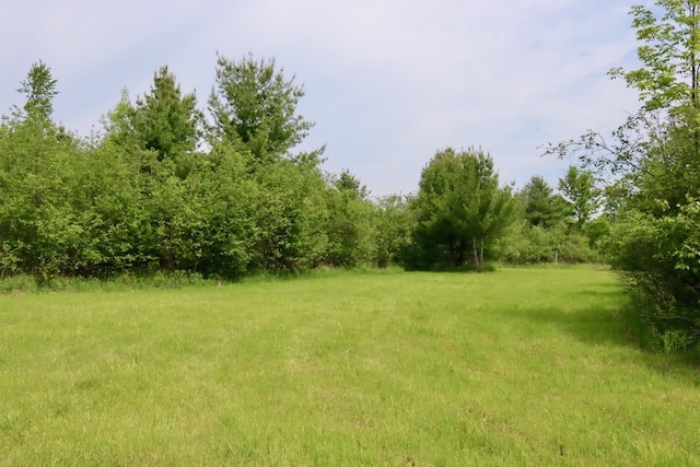 1214 N Black Rd, Twining, MI 48766 - photo 29