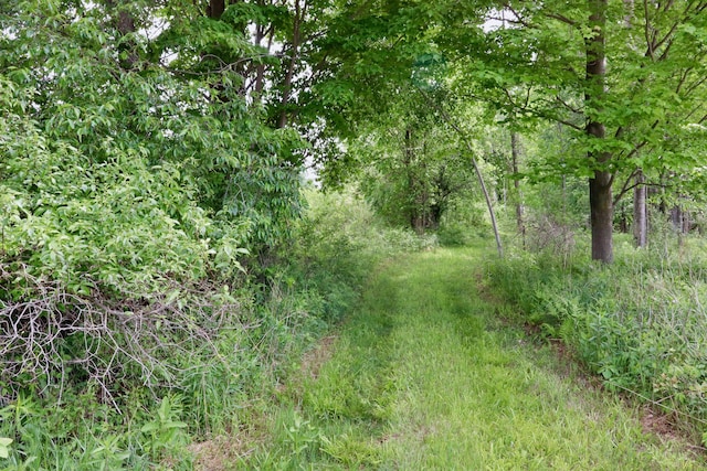 1214 N Black Rd, Twining, MI 48766 - photo 31