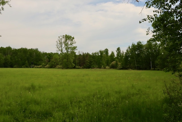 1214 N Black Rd, Twining, MI 48766 - photo 32