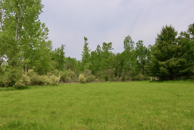 1214 N Black Rd, Twining, MI 48766 - photo 34
