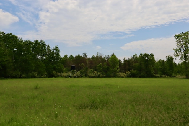 1214 N Black Rd, Twining, MI 48766 - photo 35