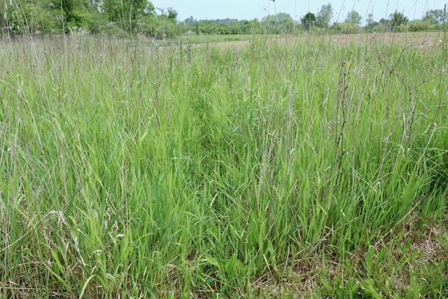 1214 N Black Rd, Twining, MI 48766 - photo 36