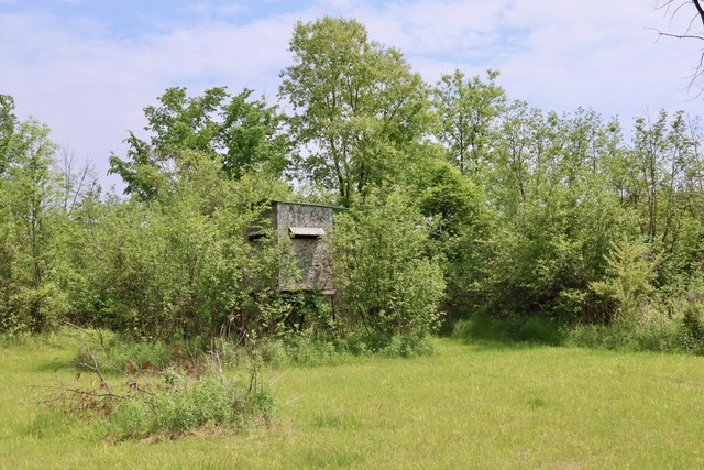 1214 N Black Rd, Twining, MI 48766 - photo 30