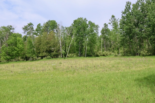 1214 N Black Rd, Twining, MI 48766 - photo 37