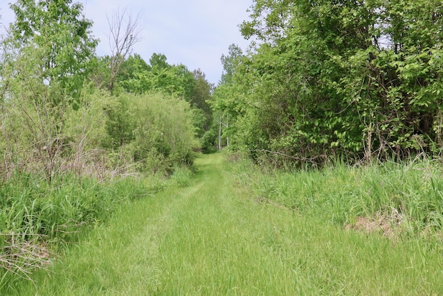 1214 N Black Rd, Twining, MI 48766 - photo 38