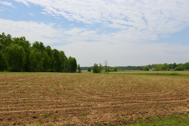 1214 N Black Rd, Twining, MI 48766 - photo 41