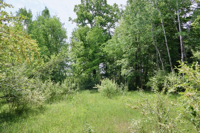 1214 N Black Rd, Twining, MI 48766 - photo 43