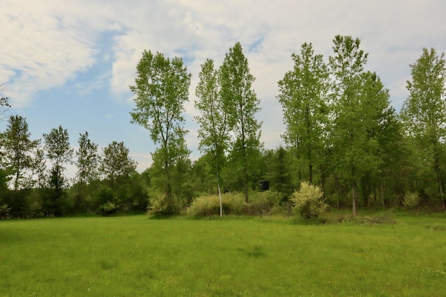 1214 N Black Rd, Twining, MI 48766 - photo 44