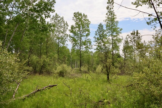 1214 N Black Rd, Twining, MI 48766 - photo 45