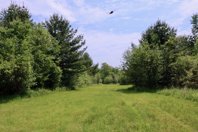 1214 N Black Rd, Twining, MI 48766 - photo 46