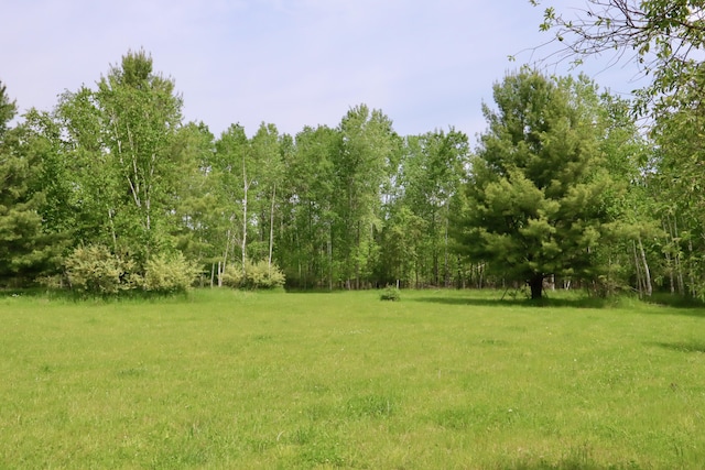 1214 N Black Rd, Twining, MI 48766 - photo 47