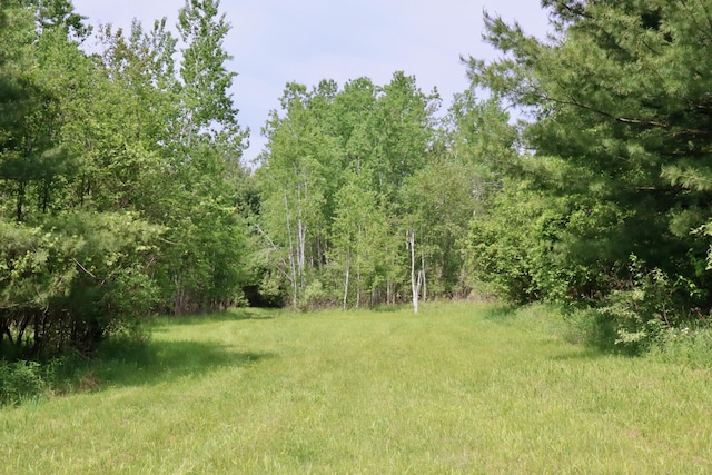 1214 N Black Rd, Twining, MI 48766 - photo 48