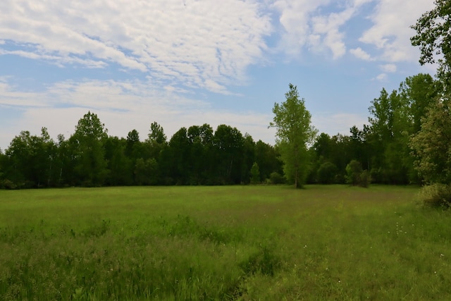 1214 N Black Rd, Twining, MI 48766 - photo 49