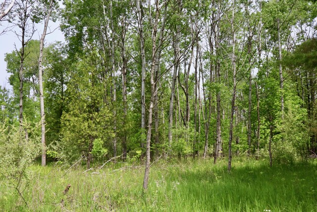 1214 N Black Rd, Twining, MI 48766 - photo 50