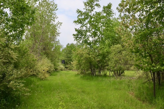 1214 N Black Rd, Twining, MI 48766 - photo 51
