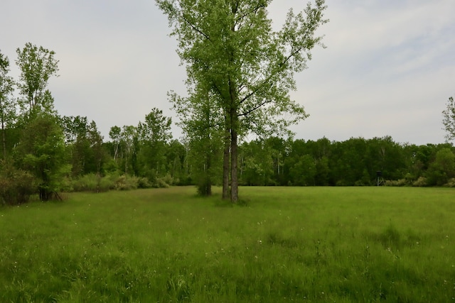 1214 N Black Rd, Twining, MI 48766 - photo 53