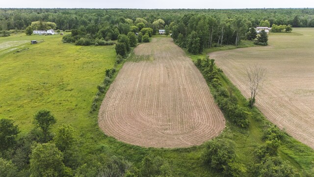 1214 N Black Rd, Twining, MI 48766 - photo 10