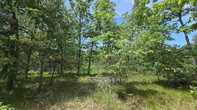 VL Custer, Manistee, MI 49660 - photo 1
