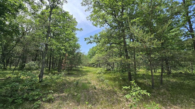 VL Custer, Manistee, MI 49660 - photo 5