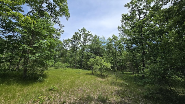 VL Custer, Manistee, MI 49660 - photo 6