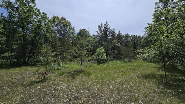 VL Custer, Manistee, MI 49660 - photo 7
