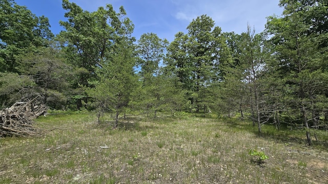 VL Custer, Manistee, MI 49660 - photo 8