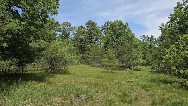 VL Custer, Manistee, MI 49660 - photo 9