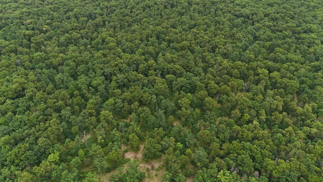 VL Custer, Manistee, MI 49660 - photo 11