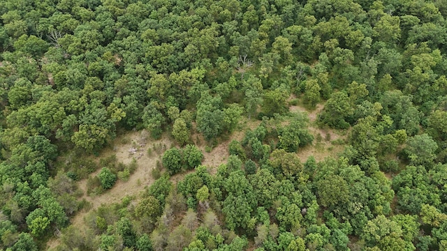 VL Custer, Manistee, MI 49660 - photo 12