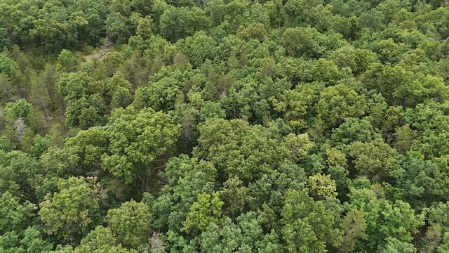 VL Custer, Manistee, MI 49660 - photo 13