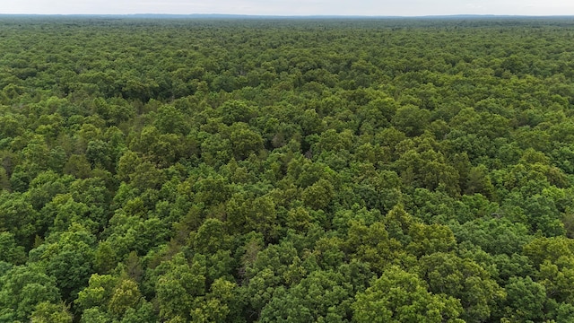 VL Custer, Manistee, MI 49660 - photo 14
