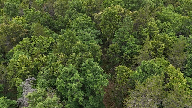 VL Custer, Manistee, MI 49660 - photo 2
