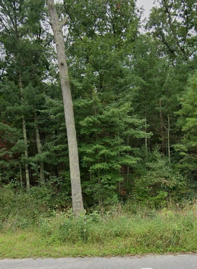 V/L Crocker Rd, Twin Lake, MI 49457 - photo 2