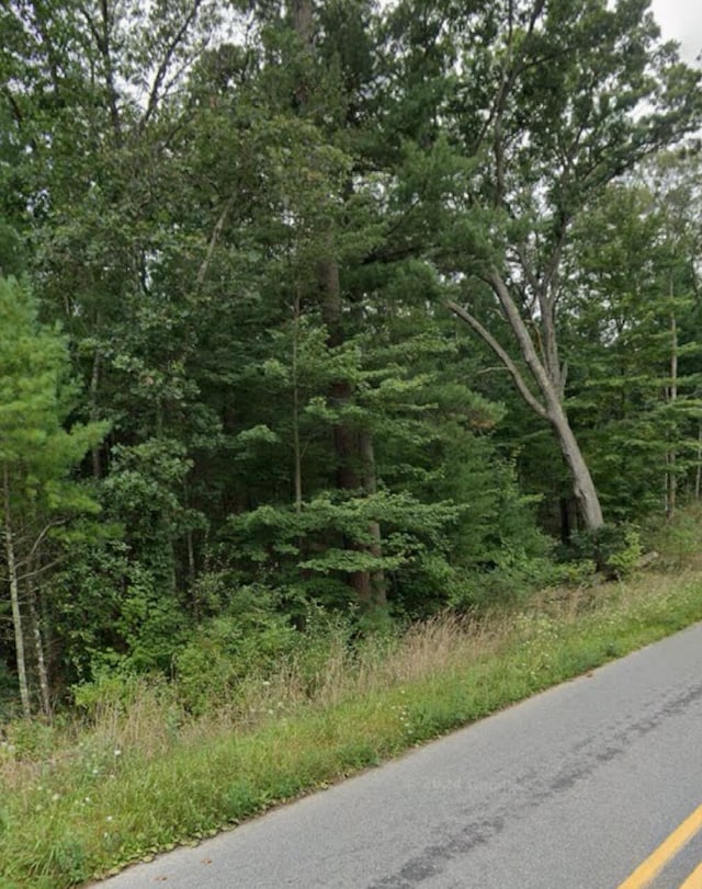 V/L Crocker Rd, Twin Lake, MI 49457 - photo 3