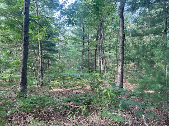 V/L Crocker Rd, Twin Lake, MI 49457 - photo 8
