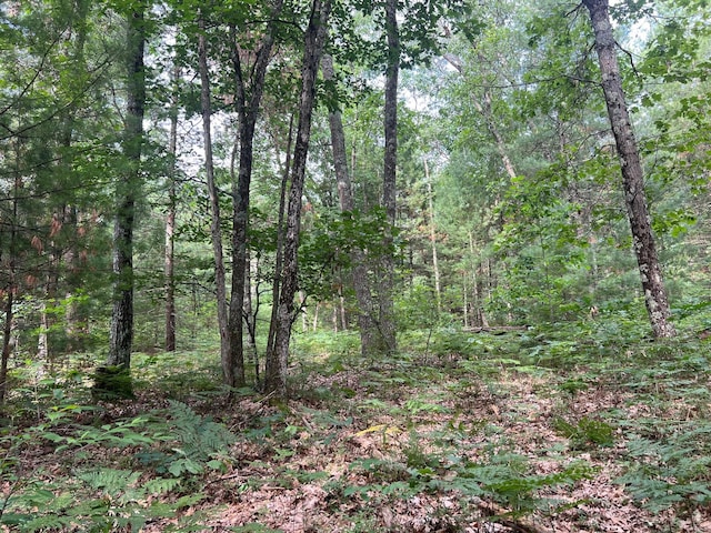 V/L Crocker Rd, Twin Lake, MI 49457 - photo 11