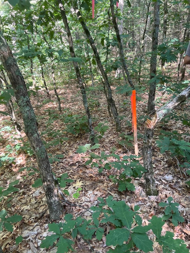 V/L Crocker Rd, Twin Lake, MI 49457 - photo 6