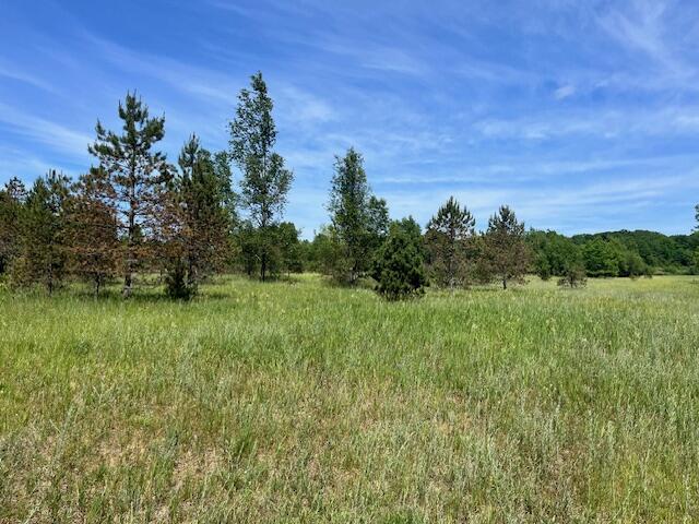 V/L S Grandview Hwy, Harrietta, MI 49638