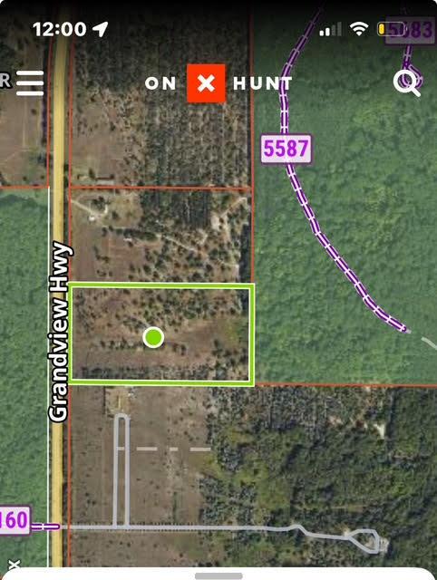 V/L S Grandview Hwy, Harrietta, MI 49638
